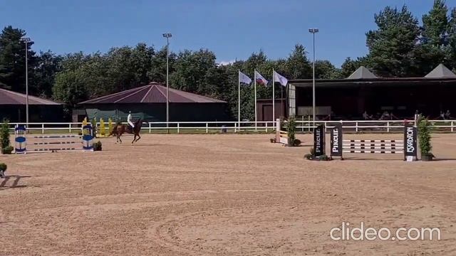 Будённовский мерин в конкур, видео или под ребёнка. Арт.: 0165 смотреть онлайн