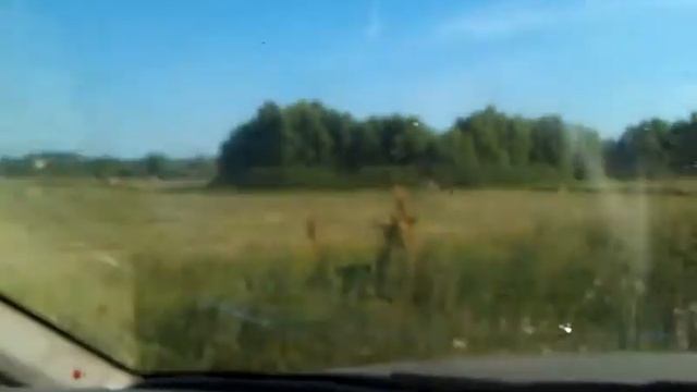 ГОБ ЕДИНСТВО в Киреевске 2014. Часть 5. Дороги на 6-й шахте смотреть онлайн