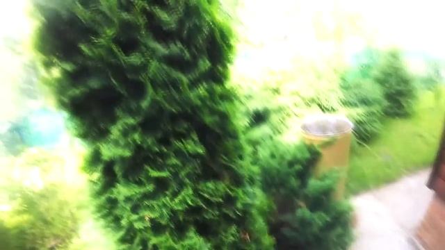 Как и чем "ОБРАБОТАТЬ" дачный "УЧАСТОК ОТ КЛЕЩЕЙ"? Обучение и методика. Вызвали "Биотрикс" смотреть онлайн