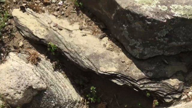 Backyard Rock Garden Tour!