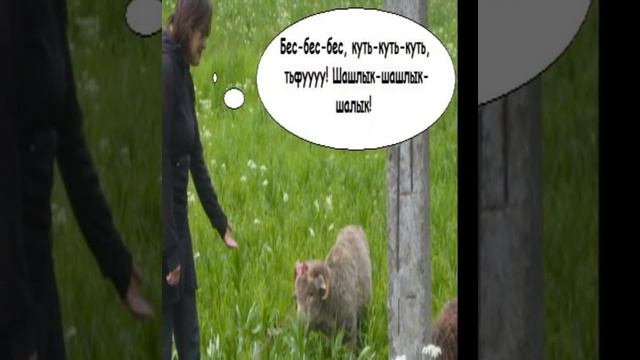 Башкорт ком на Башклип ру! смотреть онлайн