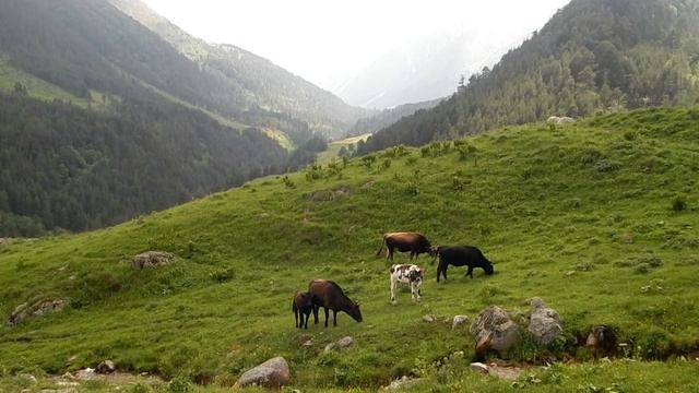 Природа Карачаево-Черкессии, район Приэльбрусья. смотреть онлайн