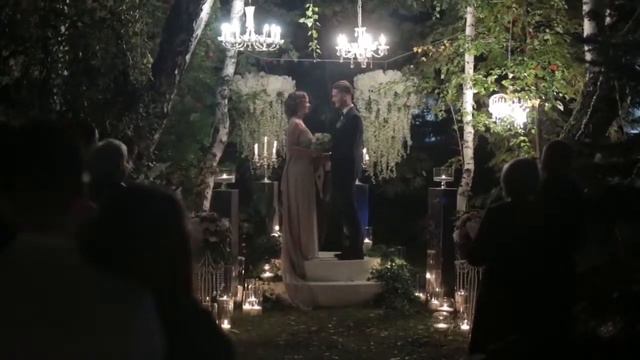 БЕРЕЗКА ночная регистрация смотреть онлайн