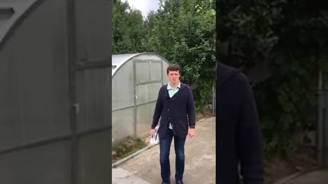 Теплица Тюльпан отзыв №3 смотреть онлайн