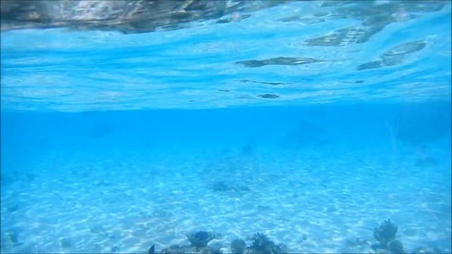 Isola deserta meravigliosa vicino Maayafushi смотреть онлайн