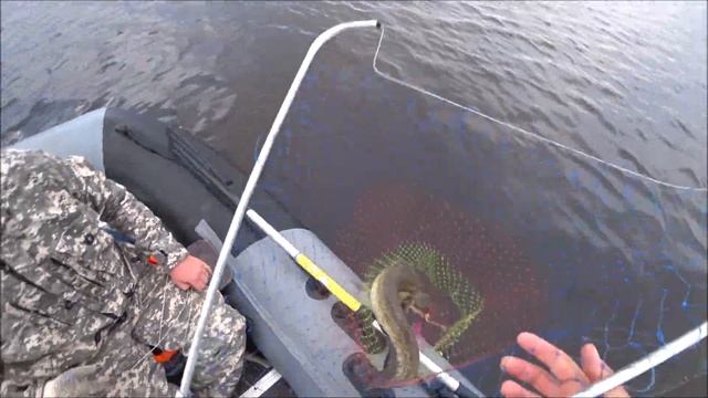 Сом на квок / Открытие сезона 2021 смотреть онлайн