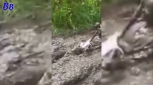 УПАЛ С КВАДРИКА И ВОТКНУЛСЯ ГОЛОВОЙ В ГРЯЗЬ - ВОДЯТЕЛ