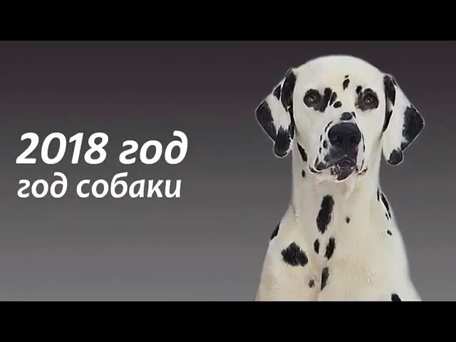 С НОВЫМ ГОДОМ смотреть онлайн