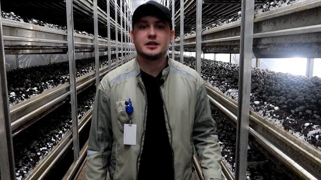 С НОВЫМ 2021 ГОДОМ, ГРИБОВОДЫ ! смотреть онлайн