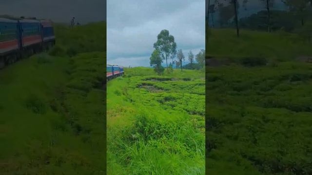 The most beautiful place in Sri Lanka. смотреть онлайн