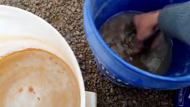 Underground Gold Mine: High-Grade Gold Vein Mining & Smelting