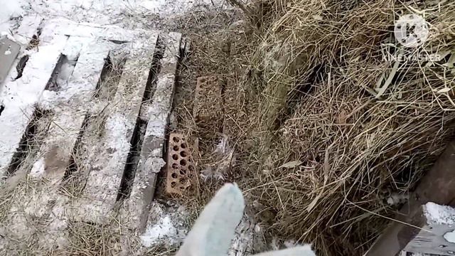 Свечи! Валенки! С Рождеством! смотреть онлайн