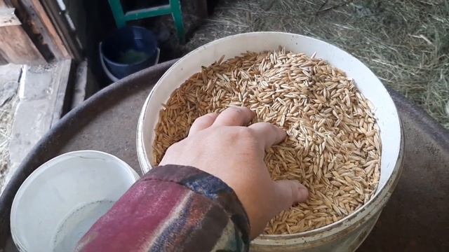 Кормим коз без танцев с бубном смотреть онлайн