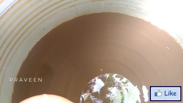 Tank Cleaning | Water Tank Cleaning in Easy and Zero Cost | Cleaning Tips смотреть онлайн