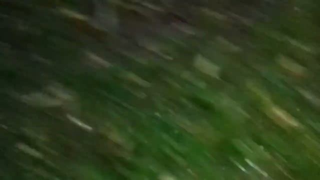 КАННИБАЛ ВЛОГ #1(часть 2): НАЧАЛО смотреть онлайн