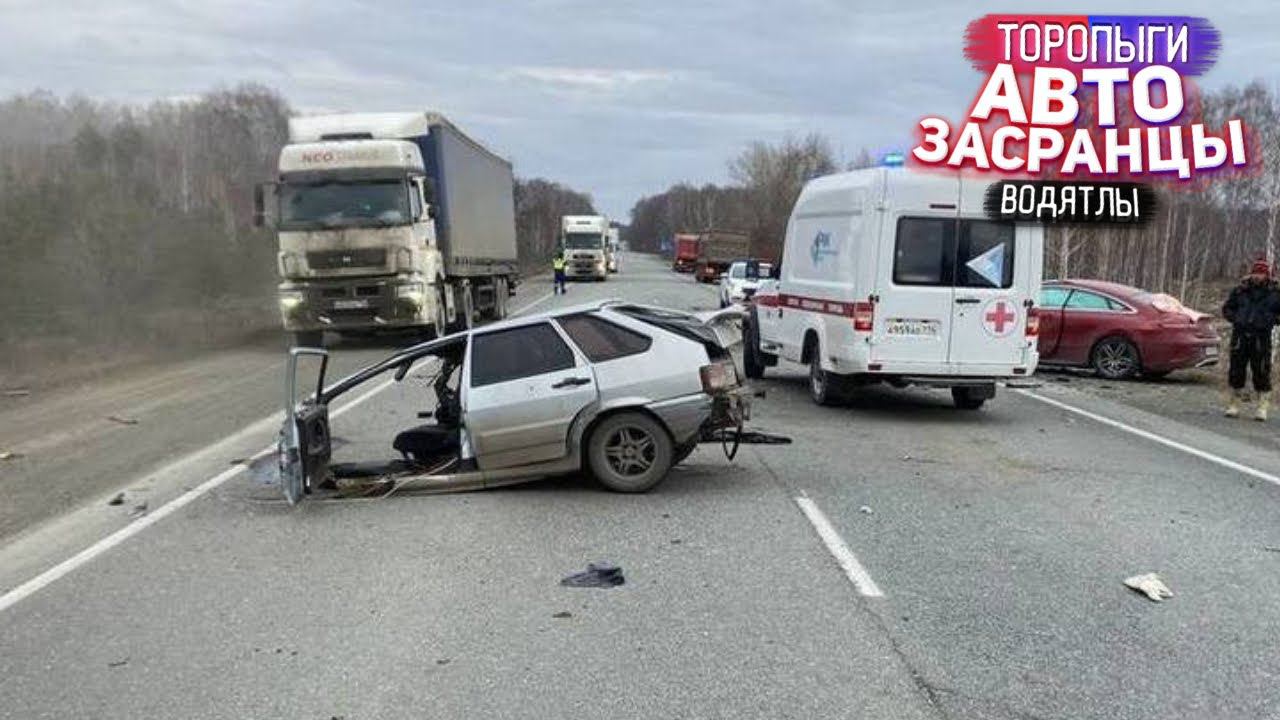 Не Растерялся! Торопыги и Водятлы Осенний Сезон смотреть онлайн