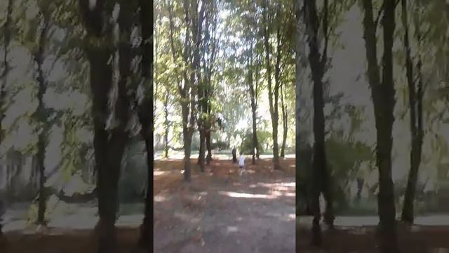 Я в парке отрадном смотреть онлайн