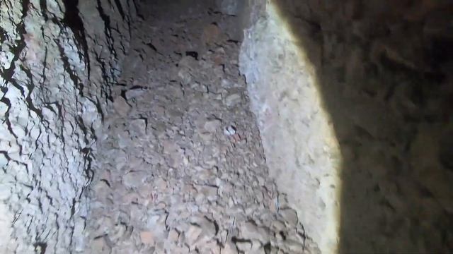 Tracking Down an Abandoned Mine with Bear! смотреть онлайн