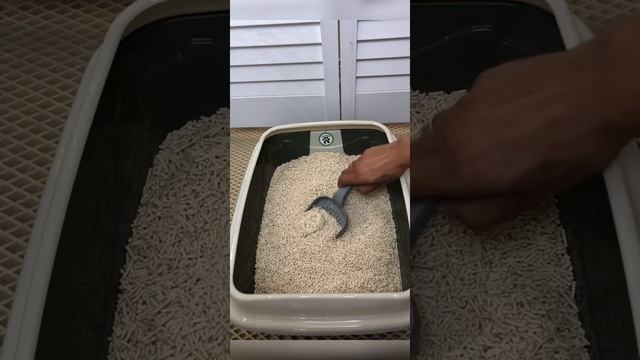 Строительное Искусство