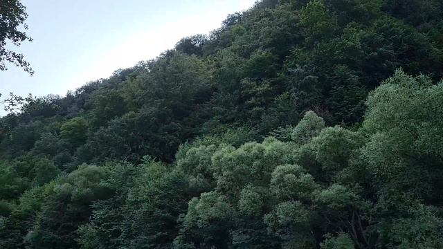 Одесса Ужгород. Поездка из Одессы в Закарпатье. Шикарная природа, горы, лес смотреть онлайн