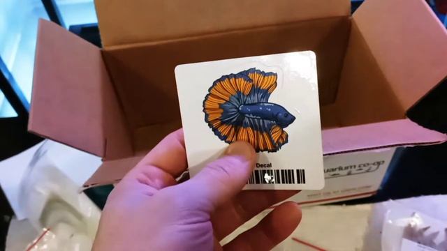 Aquarium Co-Op Live Plant Unboxing Featuring CRINUM CALAMISTRATUM смотреть онлайн