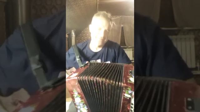 "Цветет багульник" под гармонь.... смотреть онлайн