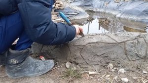 пруд с бетона и пленки у меня дома