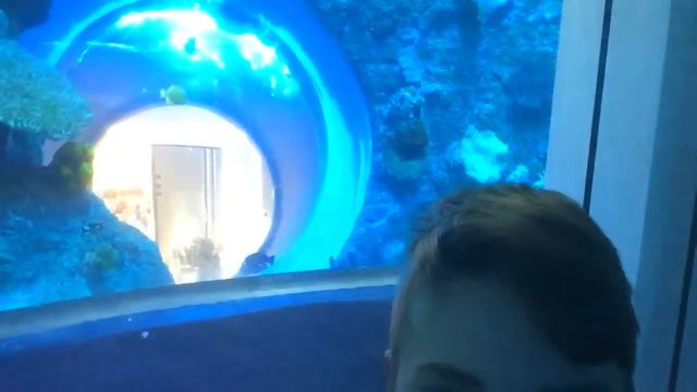 ТЦ Океания(лифт) смотреть онлайн