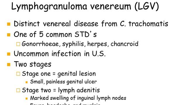 Part2 Chlamydia смотреть онлайн