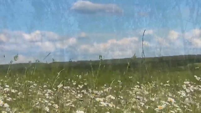 песня _Русское поле_ В. Ивашов. смотреть онлайн