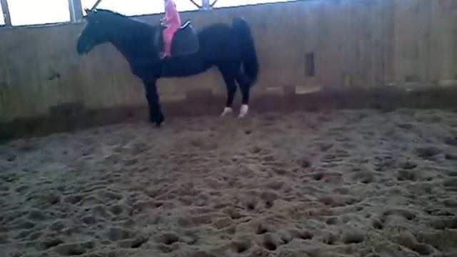 Маша на лошади смотреть онлайн