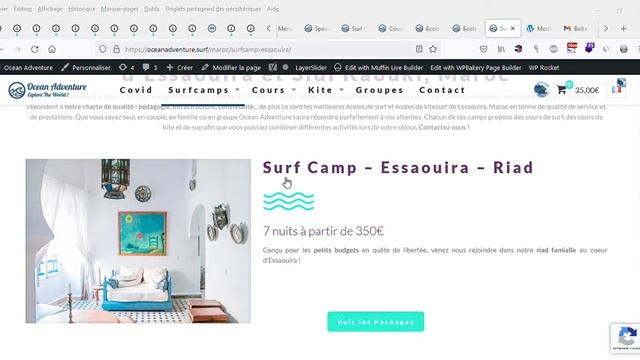 Optimisations SEO De Base Des Pages OceanAdventure.surf