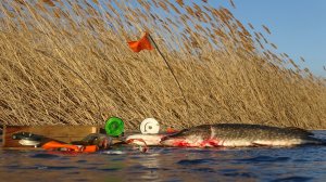 БОЛОТО В СТЕПИ и ОПАСНЫЙ ЛЁД. Щука на жерлицы. Зимняя рыбалка.