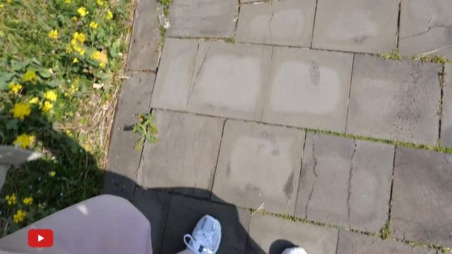 길거리음식 맞나요? 기발하고 신박한 길거리 맛집 모음 / Popular Snacks In The Korean Market Compilation  -Korean Street Foo