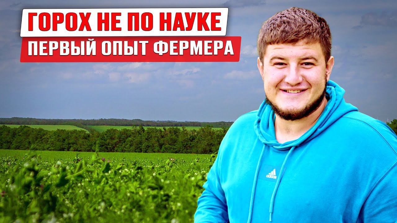 Зачем сеять горох | Севооборот | Рентабельная культура | Вредители гороха | Горох как бизнес смотреть онлайн
