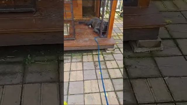 17 Занятие Команда "Место" смотреть онлайн