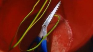 Забавная наука #48 - Backyard Science #48