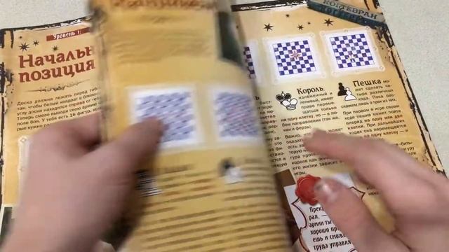 Волшебные шахматы из Гарри Поттера - ОБЗОР ЧАСТЬ 1! смотреть онлайн