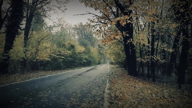 Как пережить разлуку с любимым. В поддержку подруге. #разлука #расставание смотреть онлайн