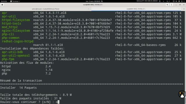 DNF : Utiliser les modules sous RHEL et Fedora смотреть онлайн