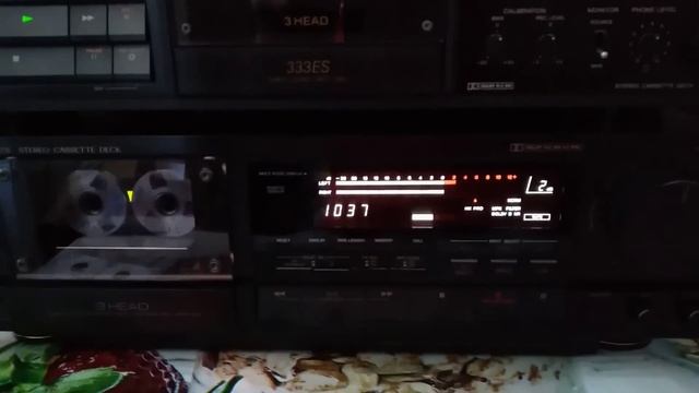 Люба я ввернулся!