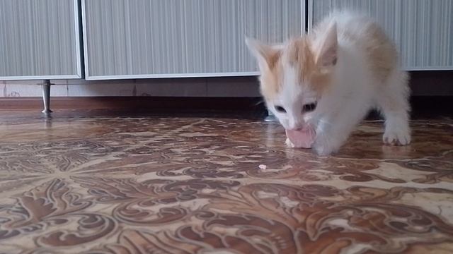 милое видео🥰😍❤❤❤❤❤❤