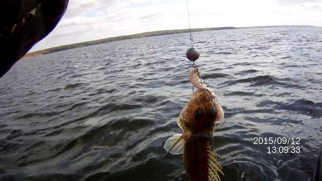 Белоярский ХИЩНЫЙ Ёрш смотреть онлайн