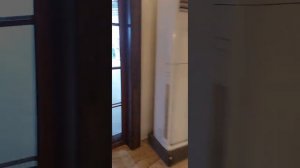 Armas Kaplan Paradise июнь 2023,ужин)