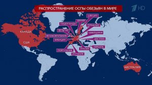 Диагноз "оспа обезьян" поставлен пациентам уже в 16 странах за пределами Африки