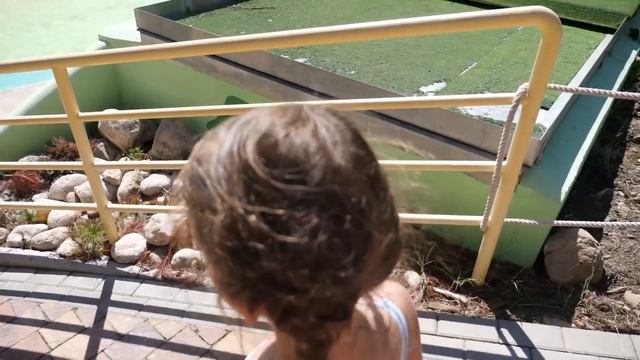 VLOG Упала с черепахи в аквапарке смотреть онлайн