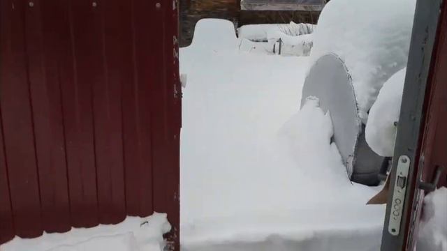 Красноярск! Зимняя поездка на даче! декабрь 2023г.