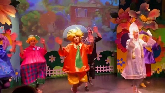 Настоящий Дед Мороз НЕЗНАЙКА И ЕГО ДРУЗЬЯ или Новый год в Цветочном Городе смотреть онлайн