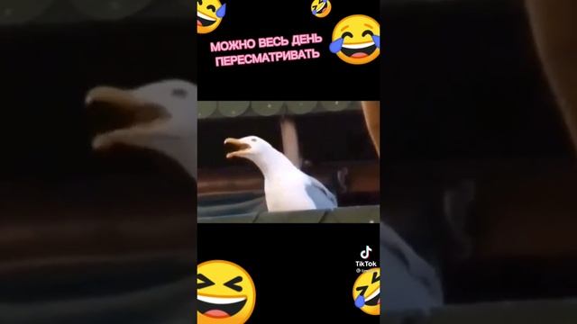 Bdbba4729ac8fabe71b257c77491c569.mp4