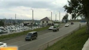 Виды Ванино